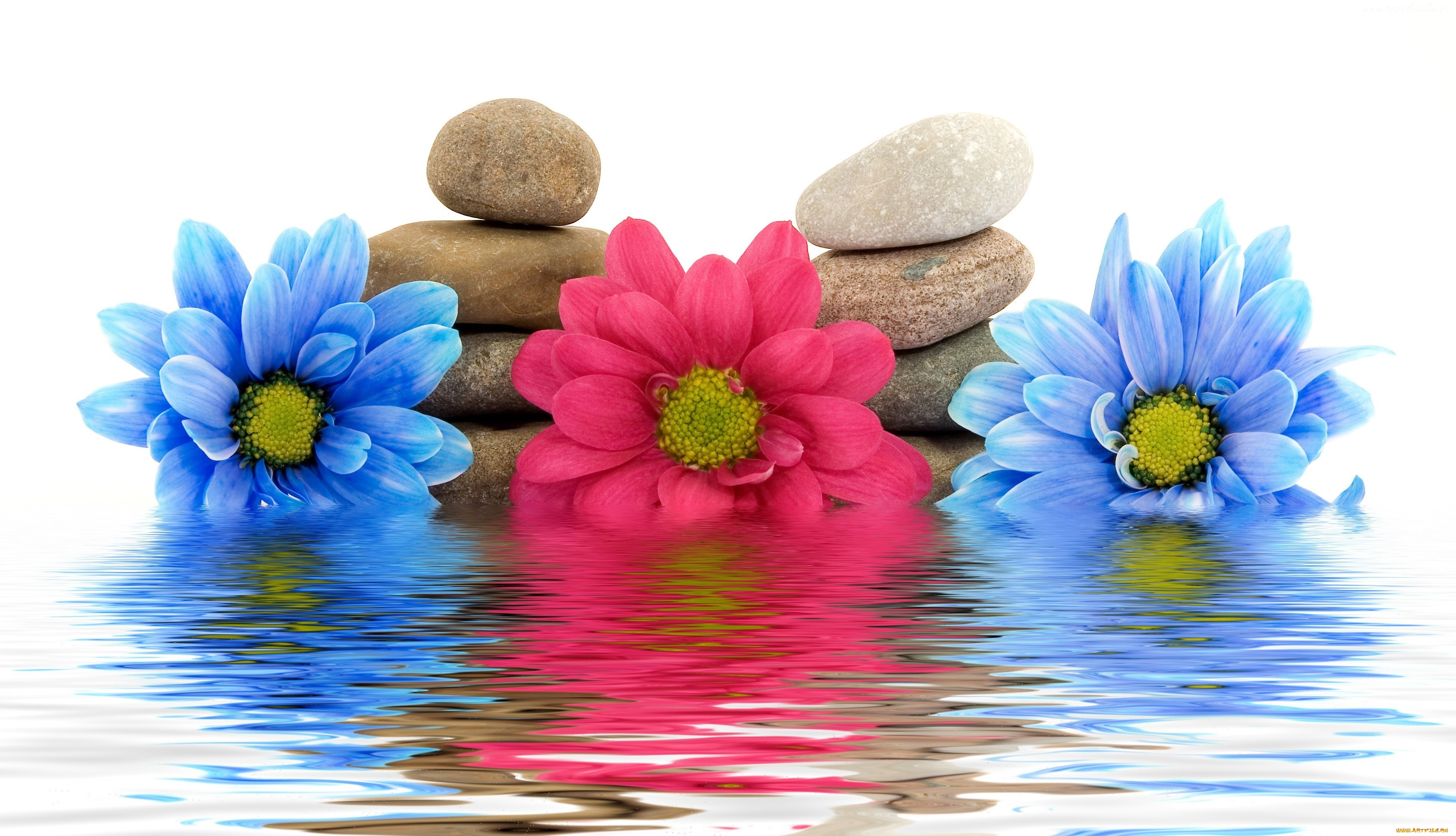 , , , , spa, , , 